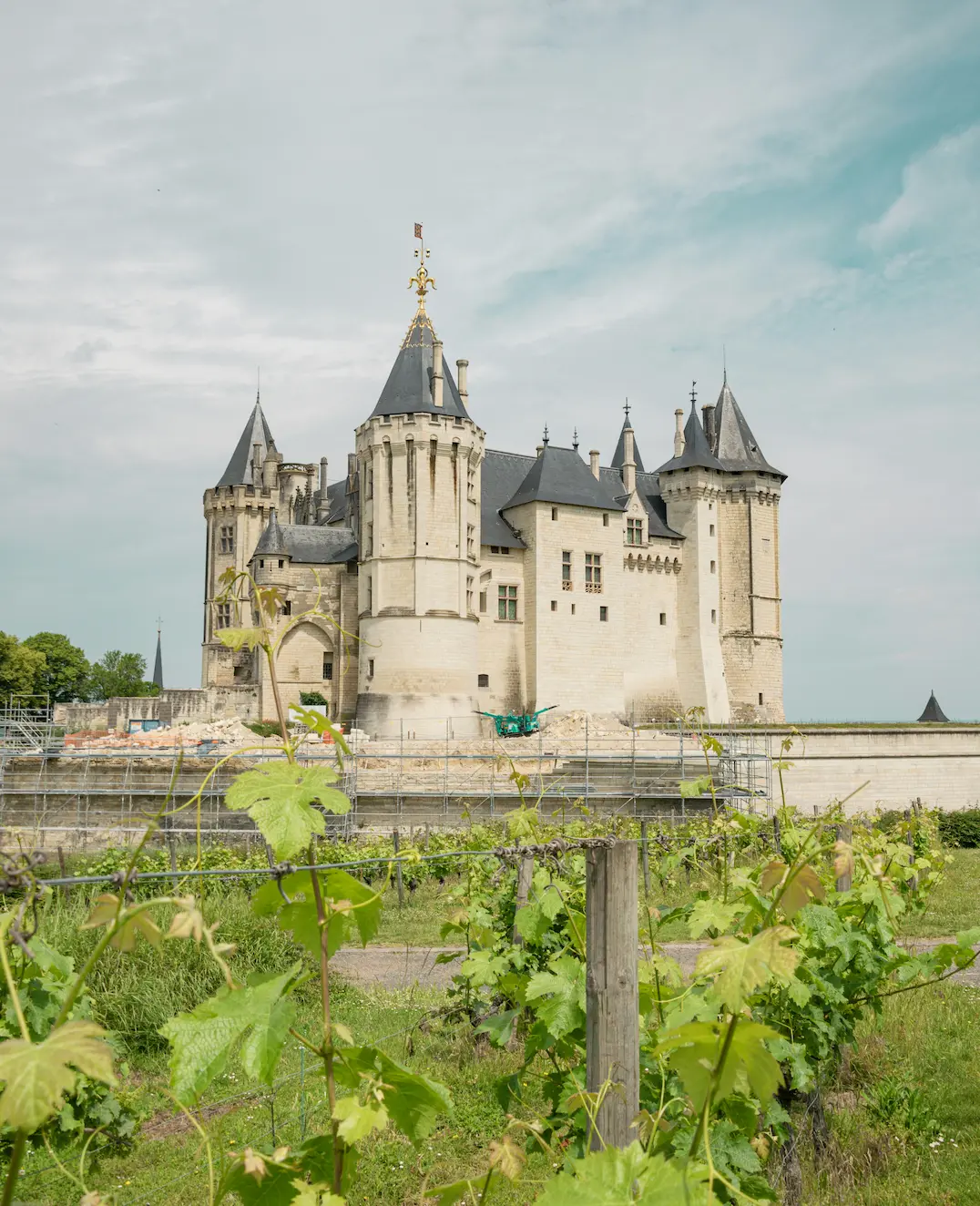 telier oenologie sur les vins de Loire en Brabant Wallon avec dégustation de 7 vins.