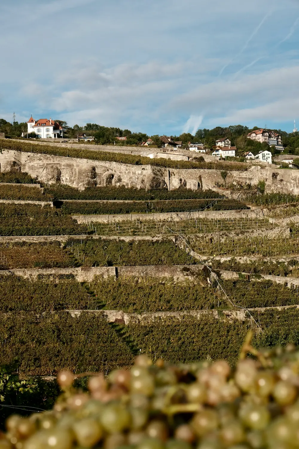 Atelier oenologie sur les vins du Sud-Ouest à Glimes.